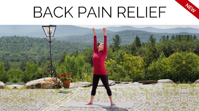 Season 14 Ep. 07:  Back Pain Relief