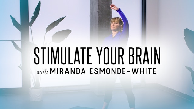 Preview | Stimulate Your Brain Workout