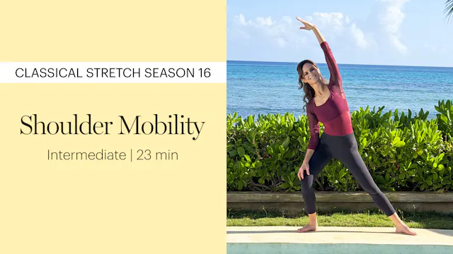 Season 16 Shoulder Mobility