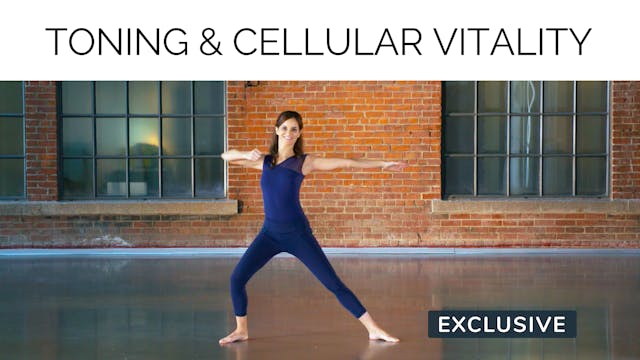 NEW 40s Workout: Toning & Cellular Vi...