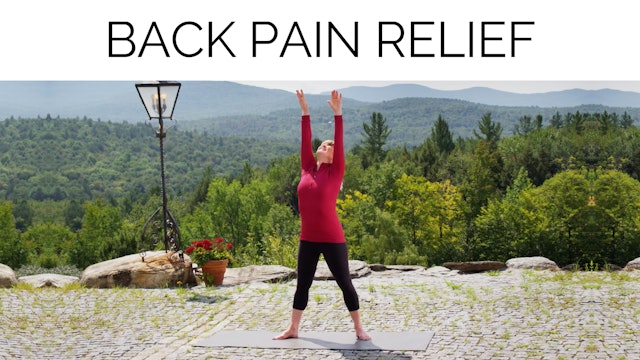 Season 14 Ep. 07:  Back Pain Relief