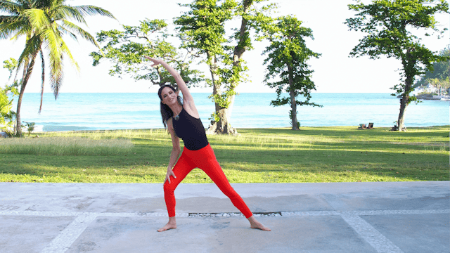 NEW Ease Stiffness & Restore Mobility...