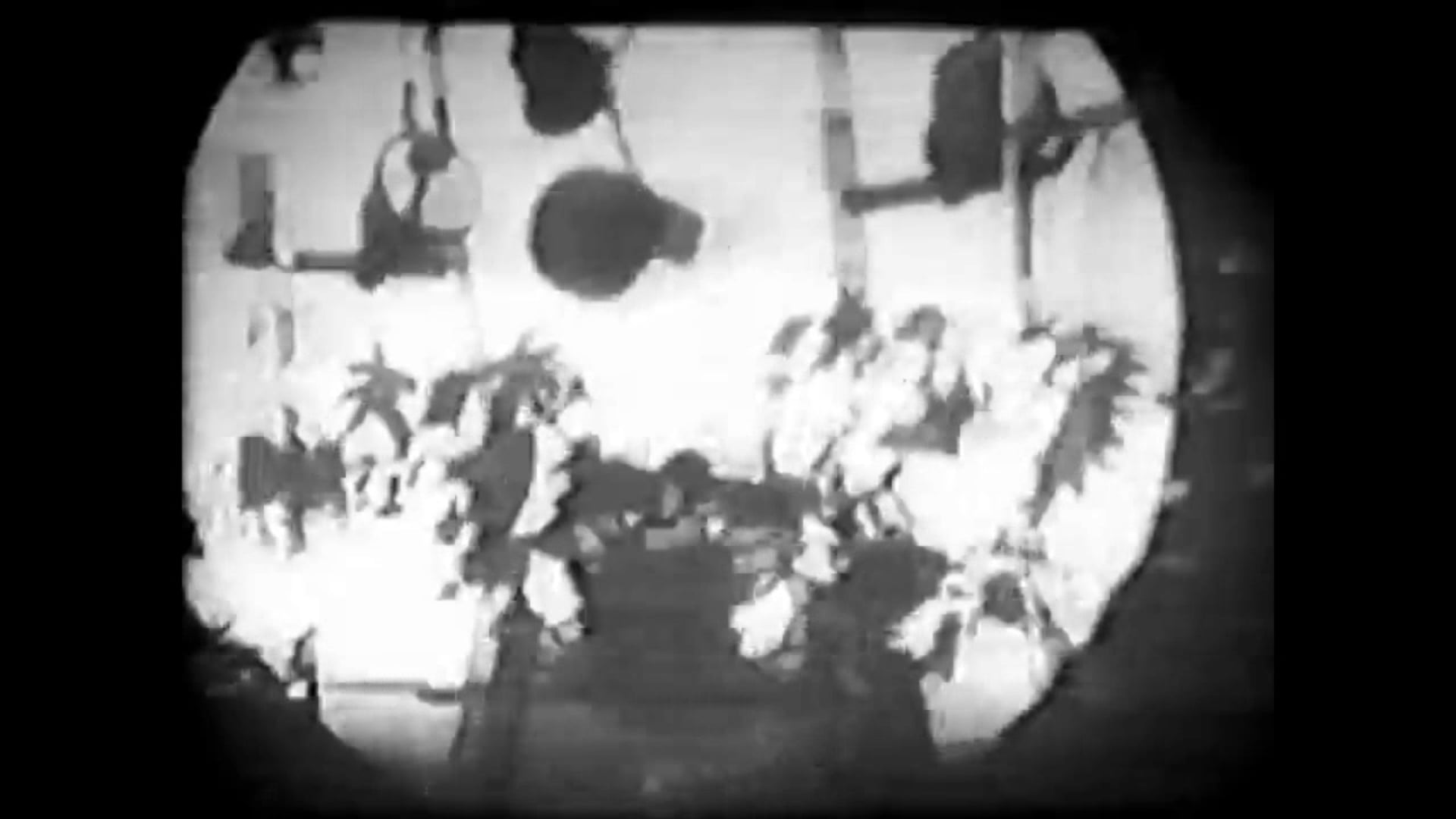 Oswald The Lucky Rabbit: Great Guns (1927)