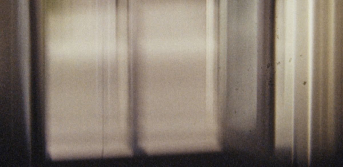 I SIGNED THE PETITION