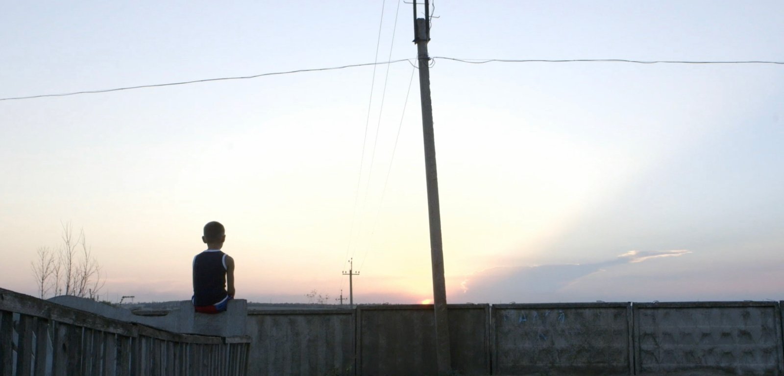 THE DISTANT BARKING OF DOGS