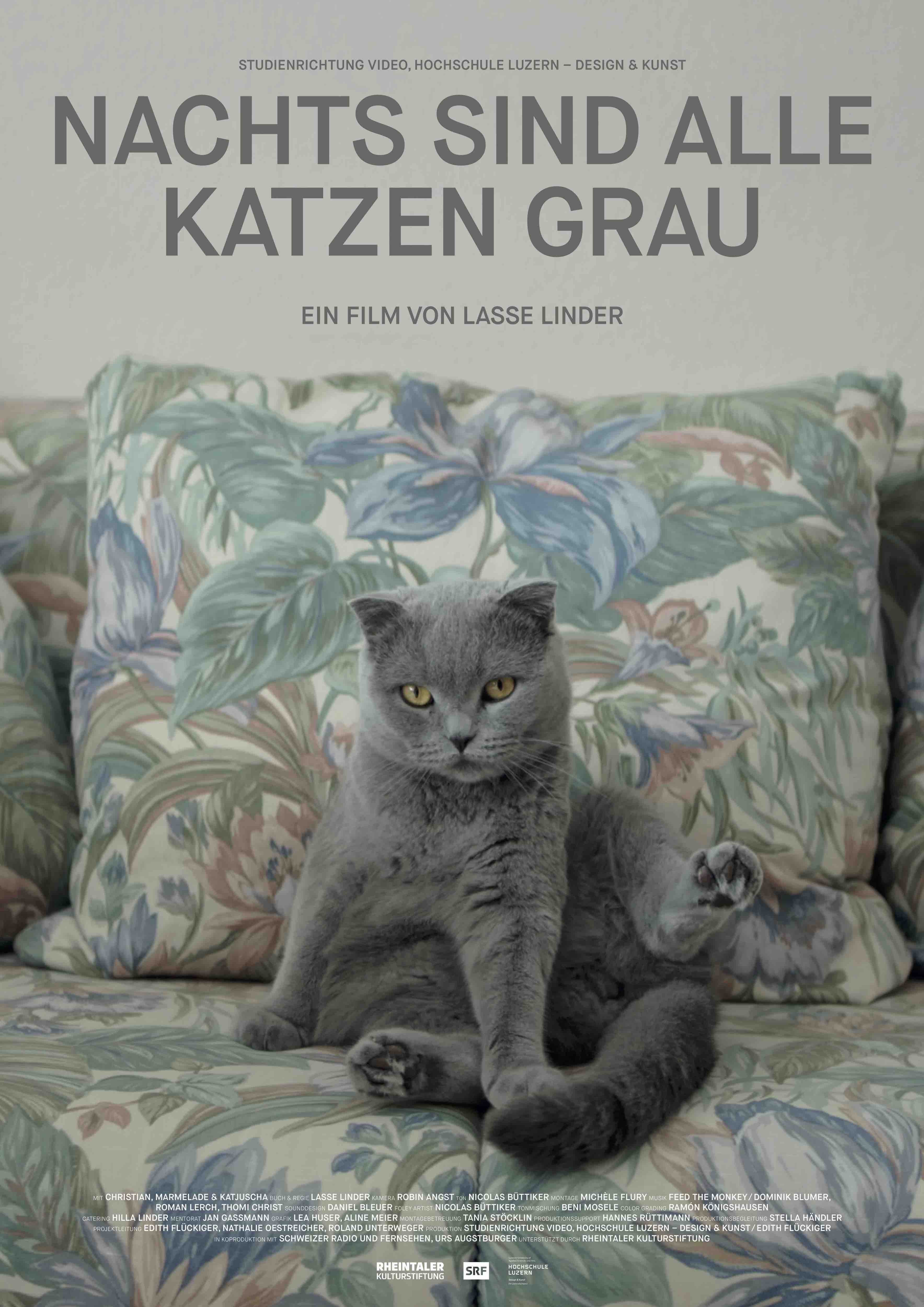 ALL CATS ARE GREY IN THE DARK