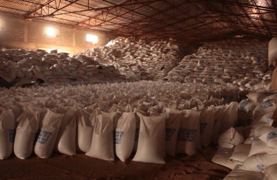 DEAD DONKEYS FEAR NO HYENAS