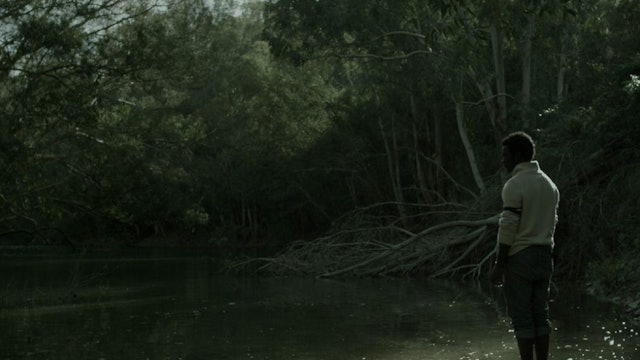 WE ALL LOVE THE SEA SHORE