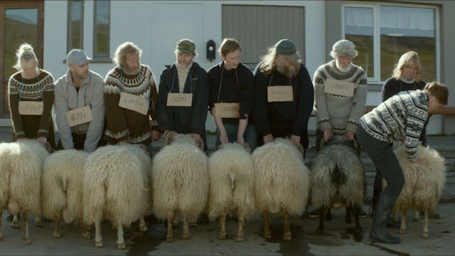 RAMS