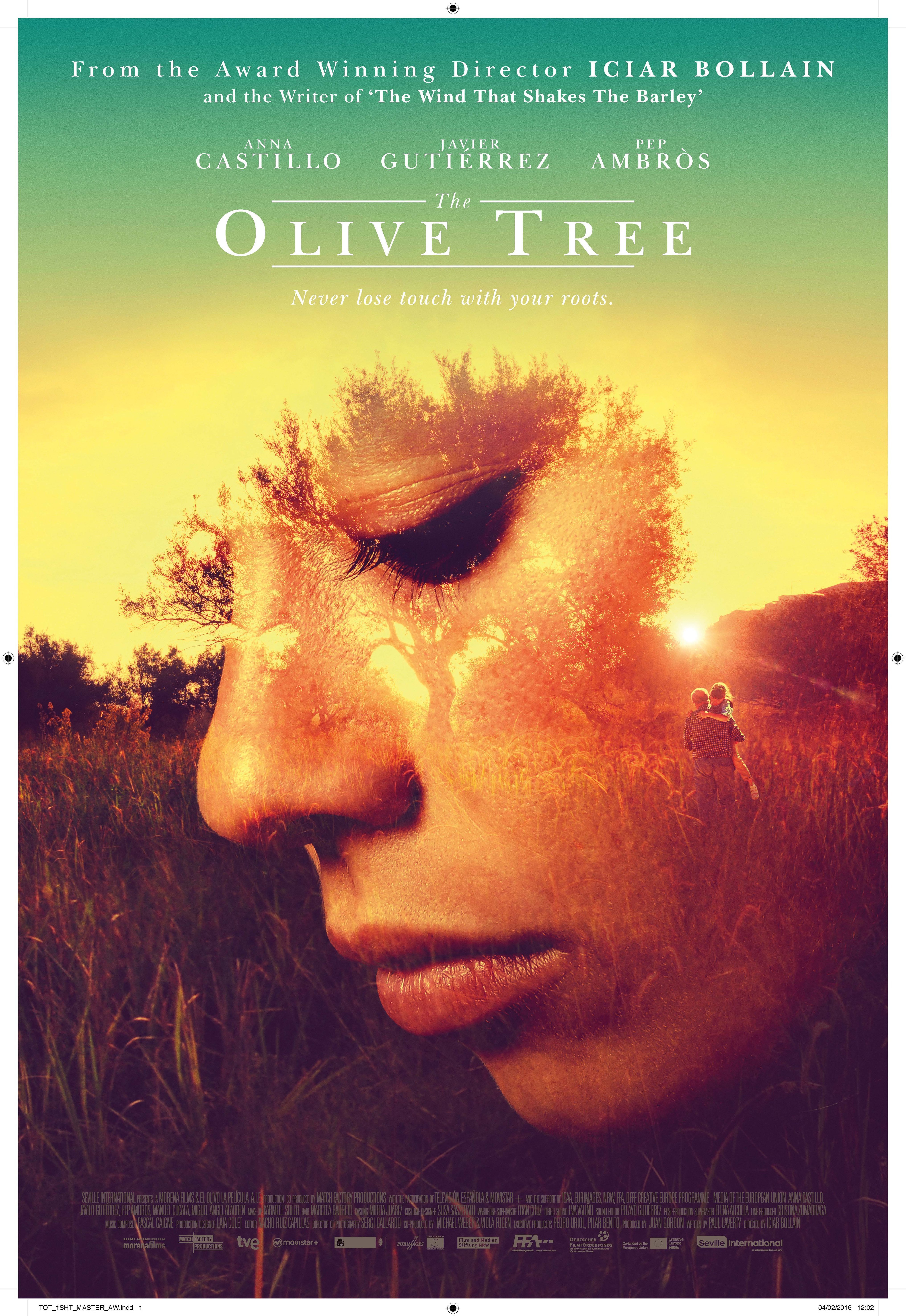 THE OLIVE TREE
