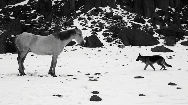 LITTLE BLOCK OF CEMENT WITH DISHEVELL...