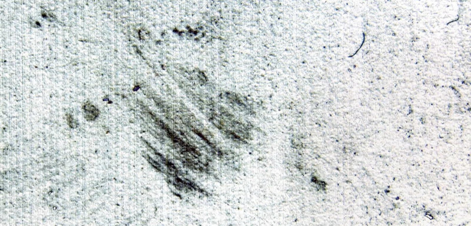 YOUNG MEN AT THEIR WINDOW