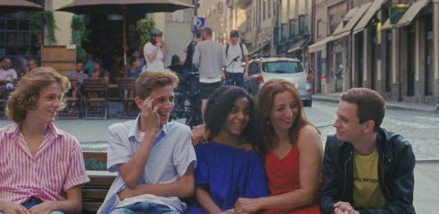 DOGS BARKING AT BIRDS