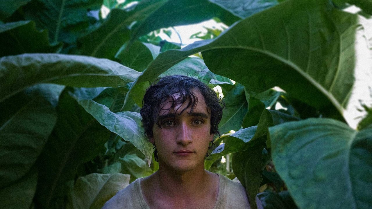 HAPPY AS LAZZARO