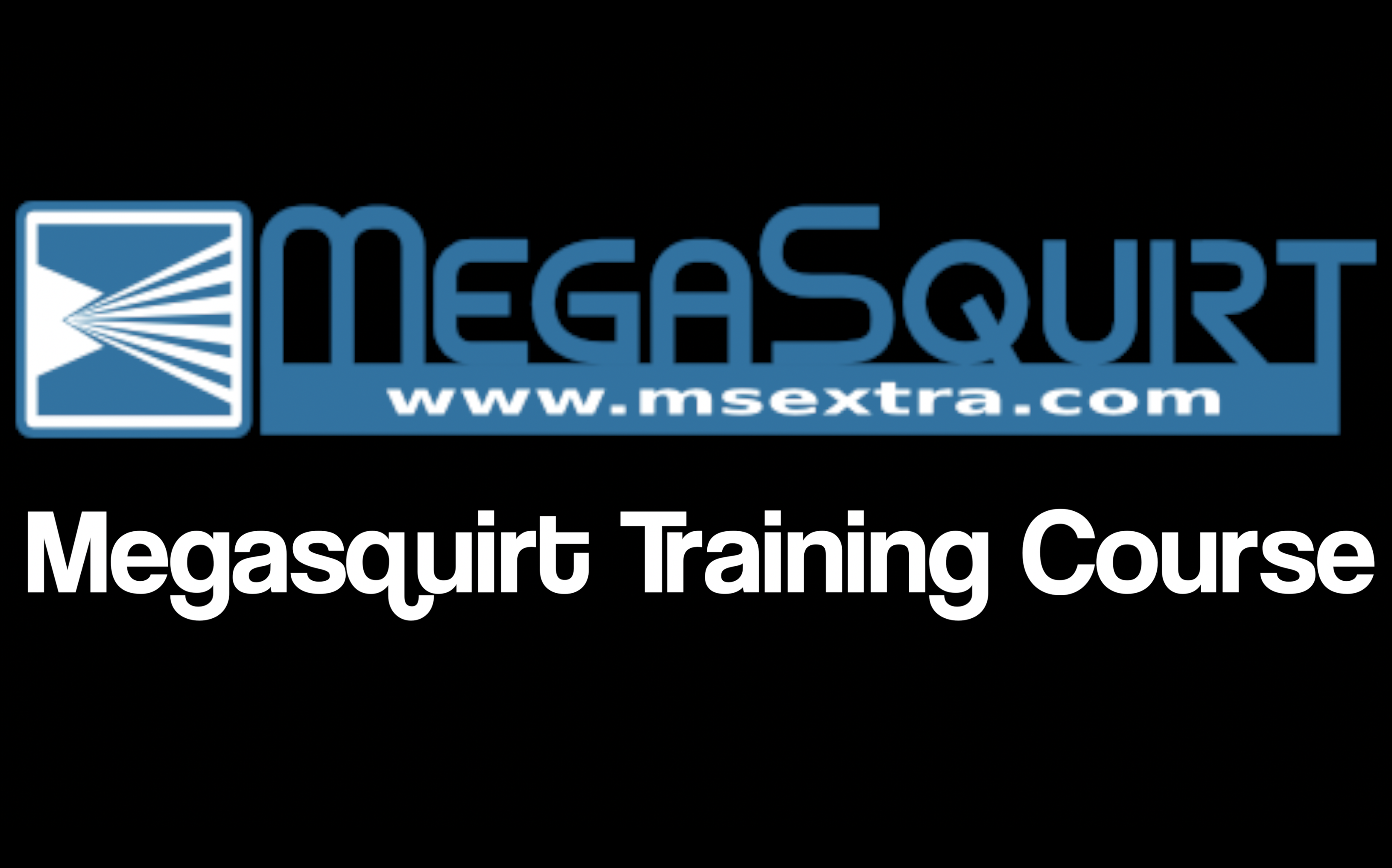 Megasquirt Training: Introduction
