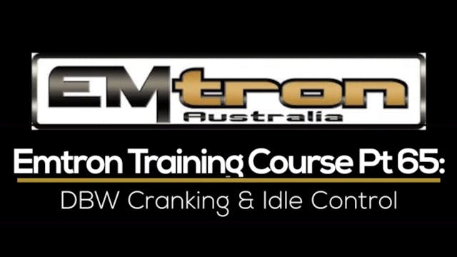 Emtron Training Course Part 65: DBW Cranking & Idle Control