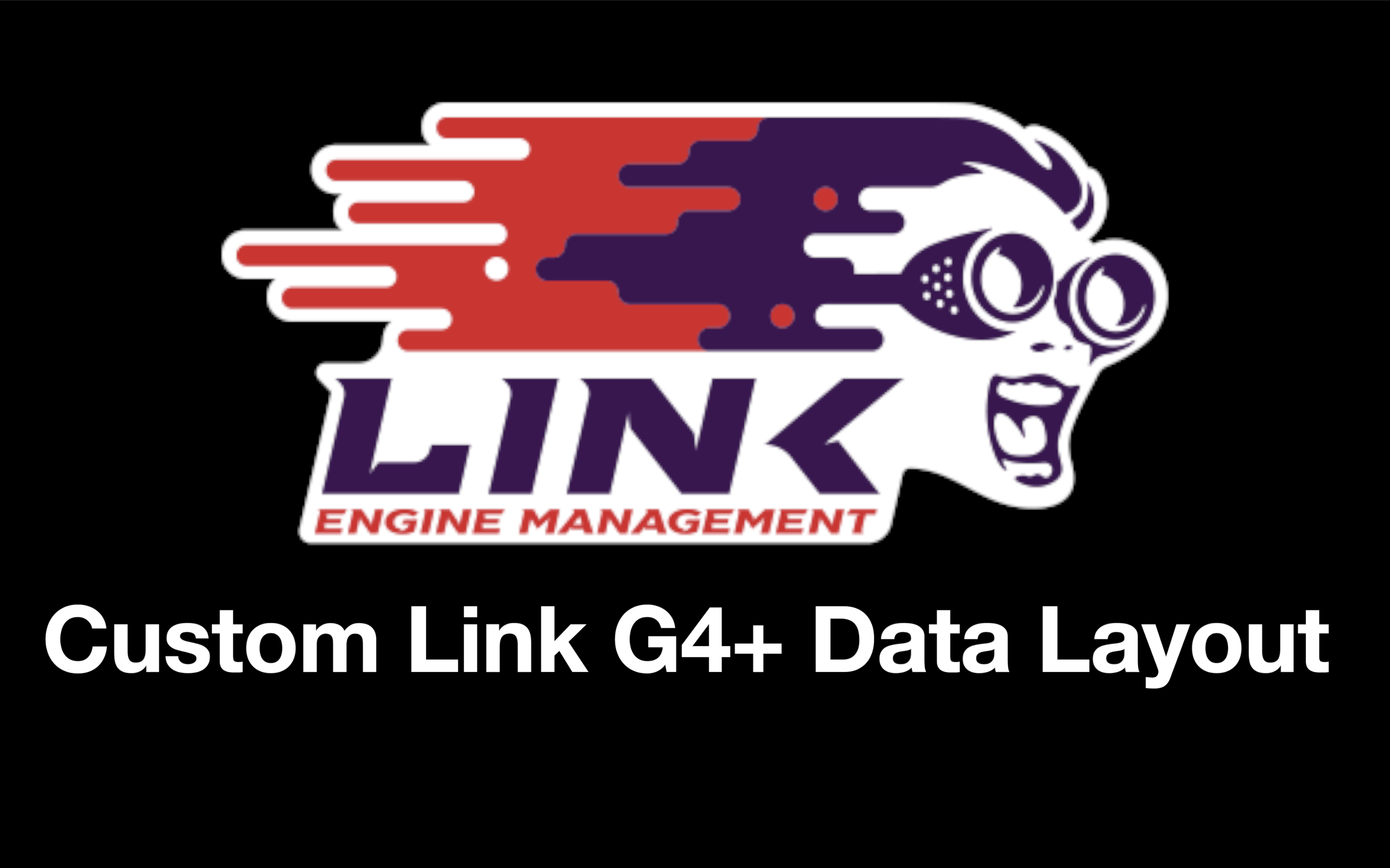 Link G4+ Data Analysis Layout (click to download)