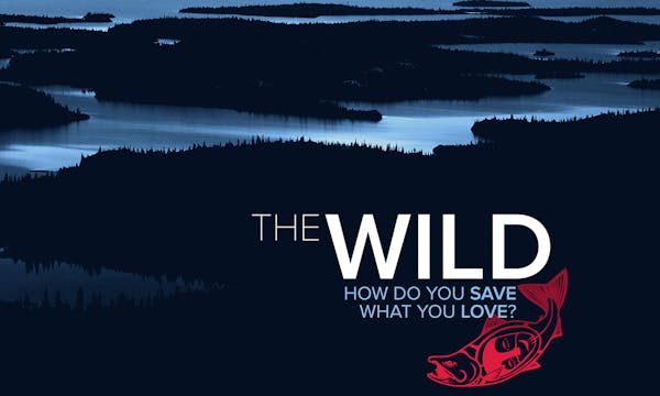 The Wild ~ Feature Documentary 