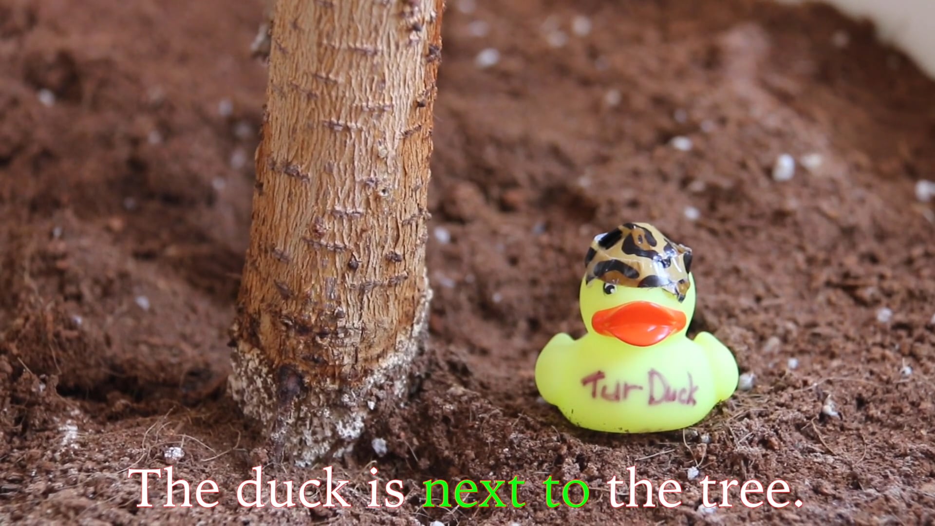 A1.L2.V1 Prepositions of Place vocabulary