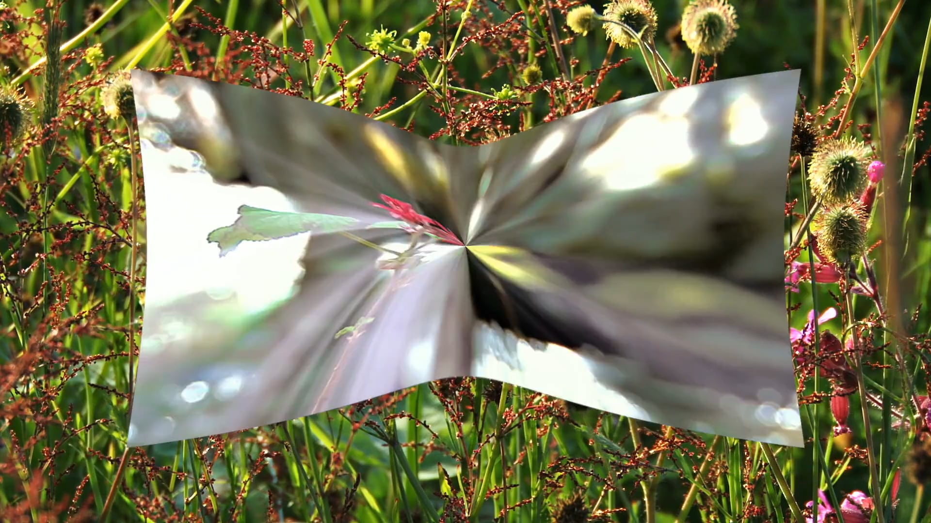 A2.L4.V2 Spring vocabulary