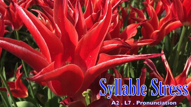 A2.L7 Syllable Stress Pronunciation