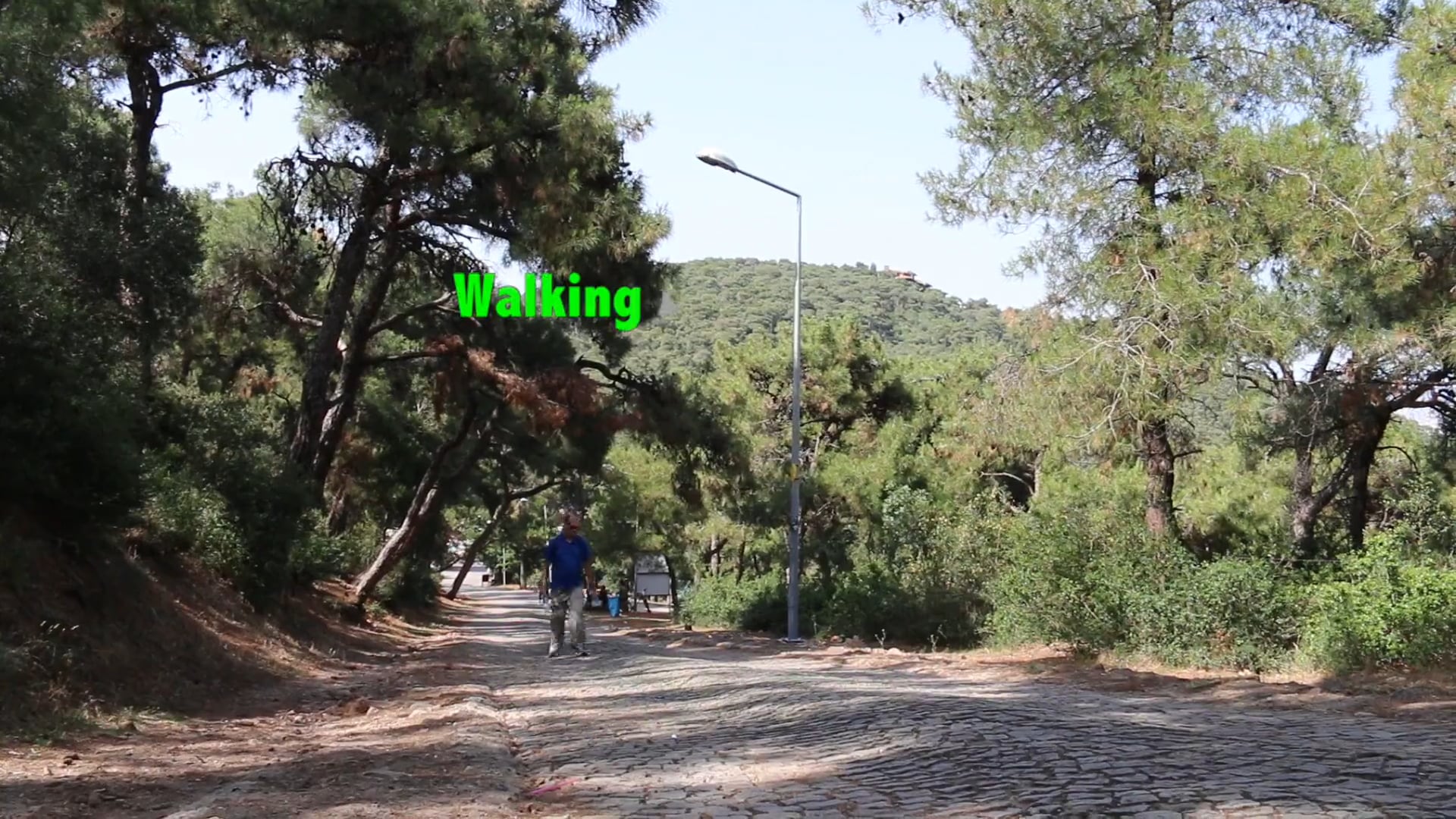 A1.L8.V2 Transportation vocabulary