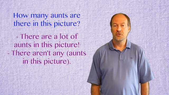 A2.L13.G2 Quantifiers: How much and How many