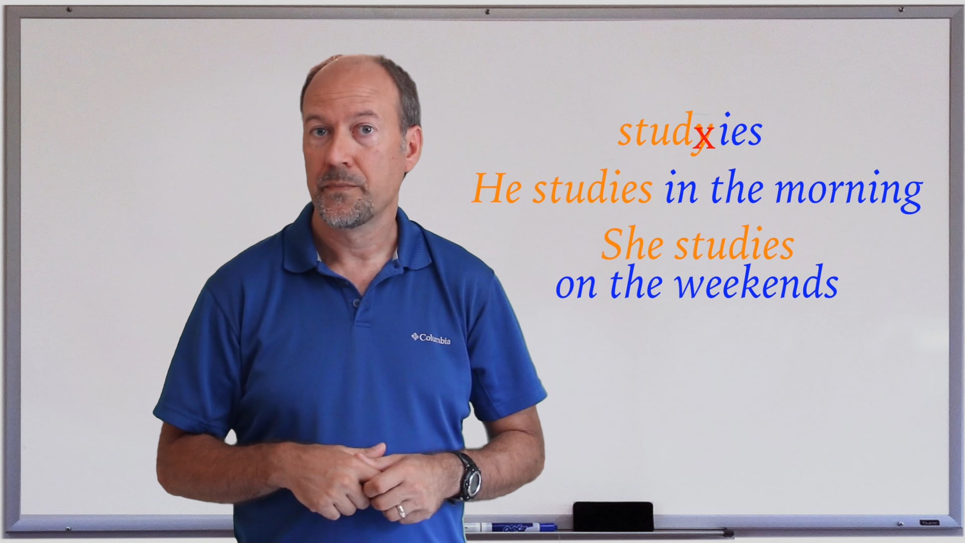 A1.L6.G1 Simple Present Statements grammar