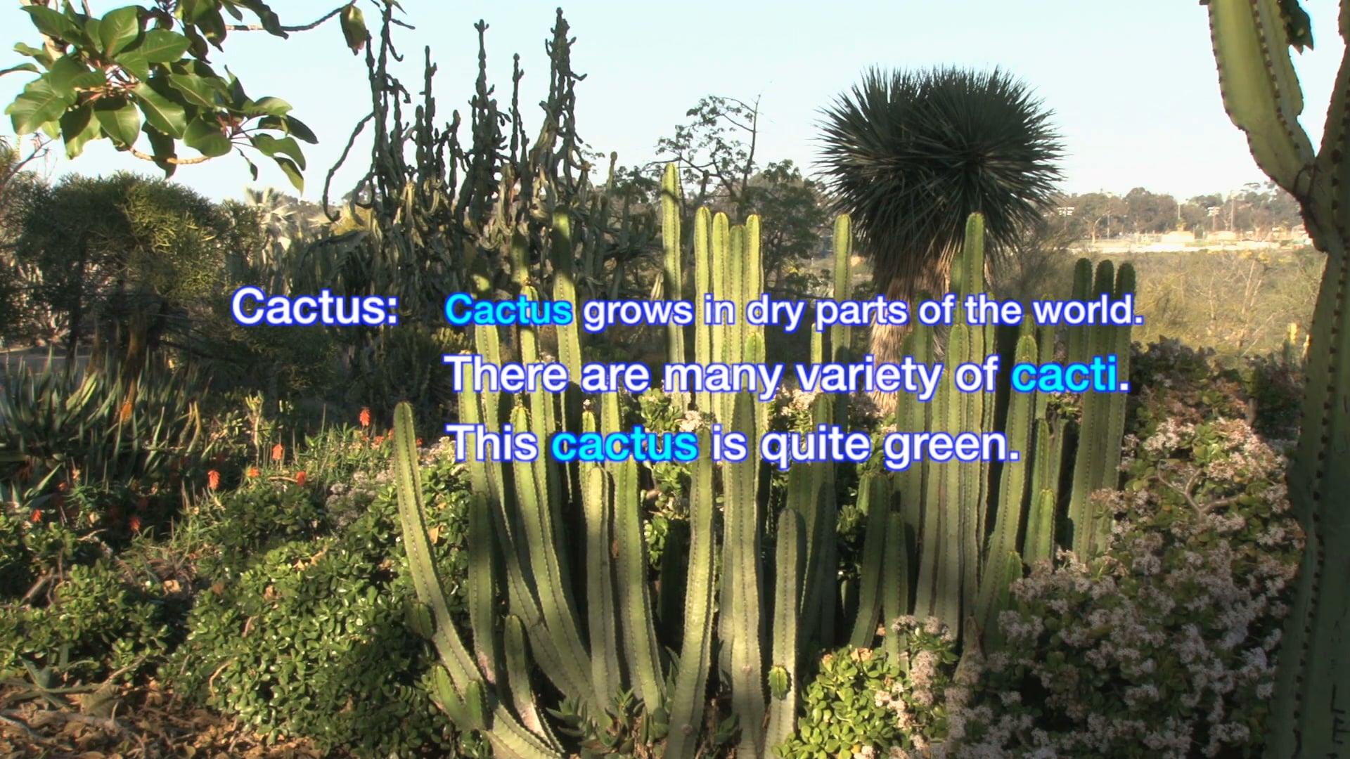 A2.L14.V1 Environment Vocabulary