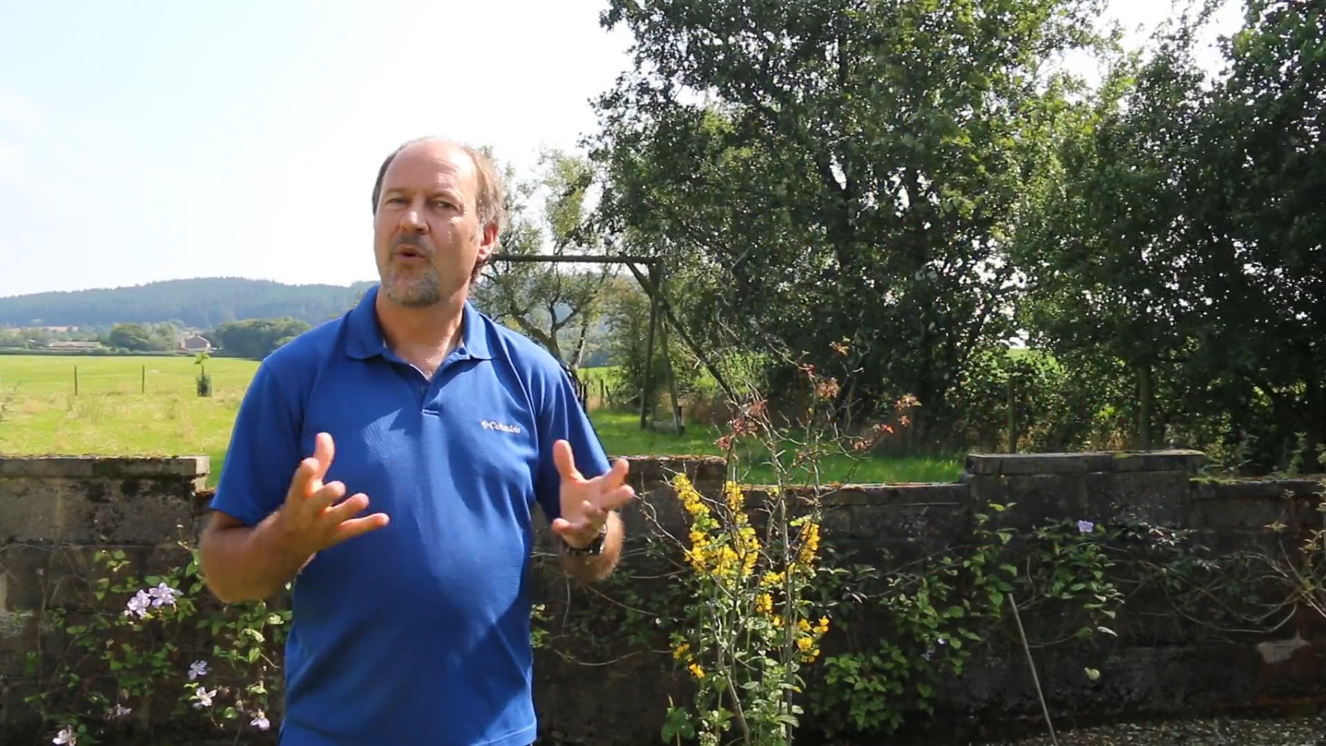 A1.L15.G1 Past Simple Irregulars grammar