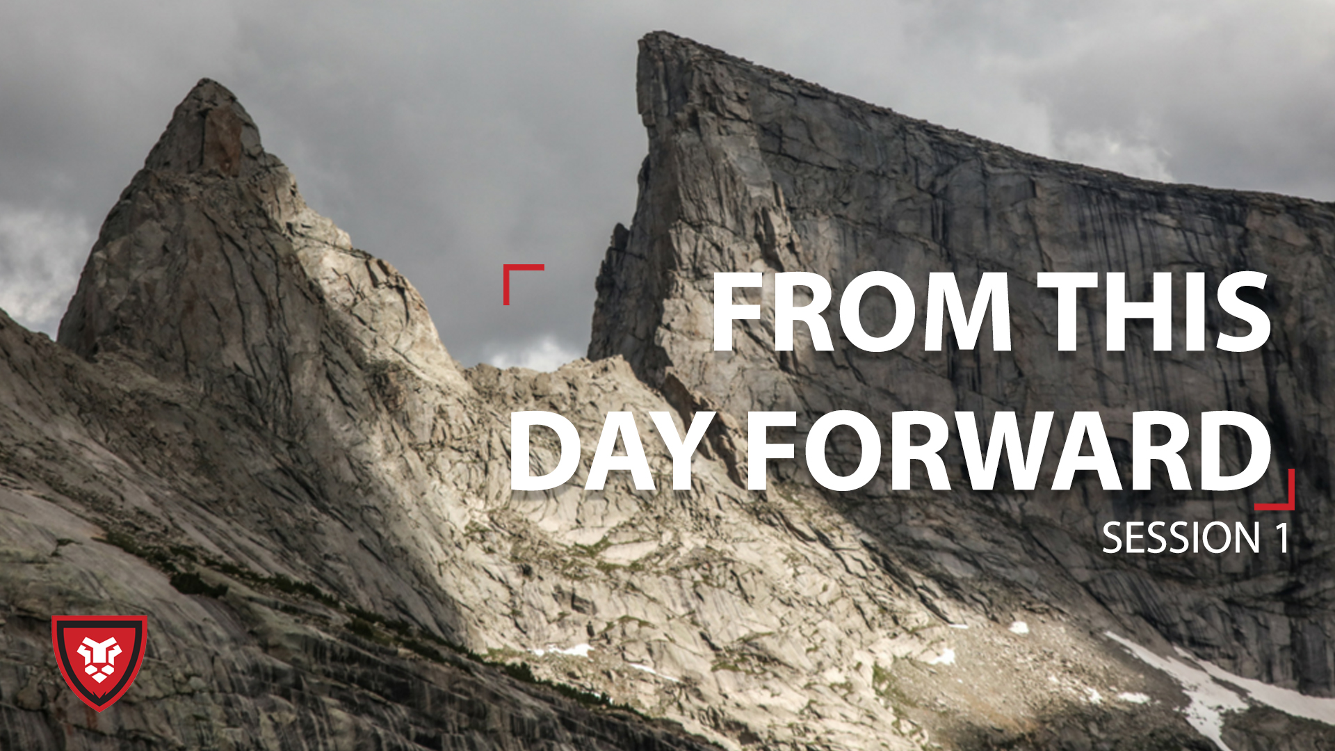 FTDF Seed God Part 1