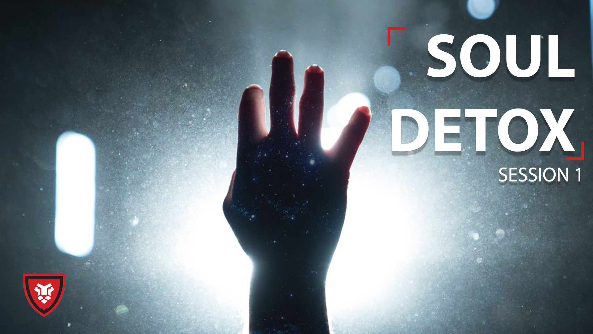 Soul Detox 1 - The Restless Soul