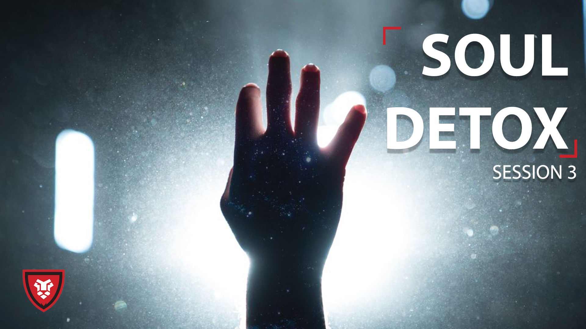 Soul Detox 3 - The Tortured Soul