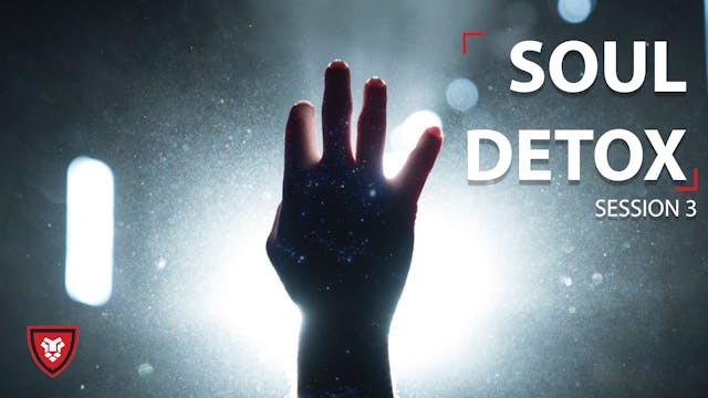 Soul Detox 3 - The Tortured Soul