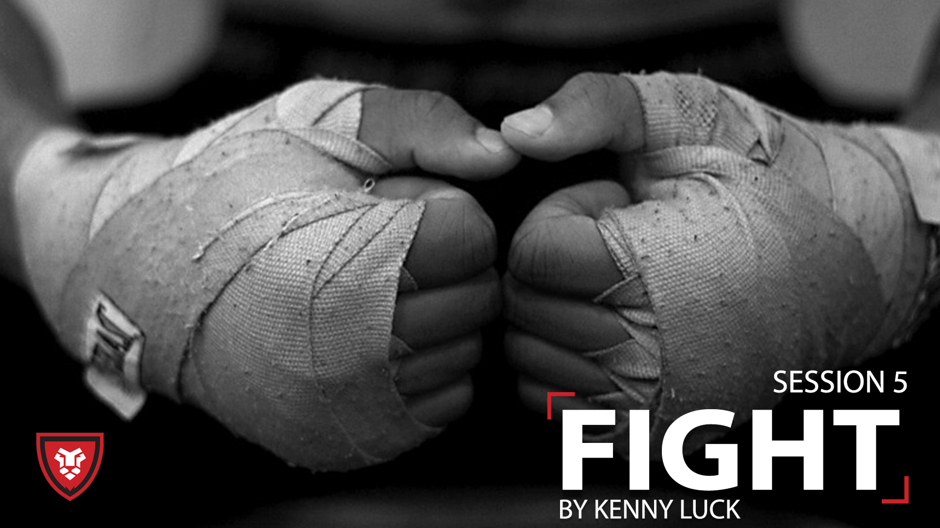Fight Session 5