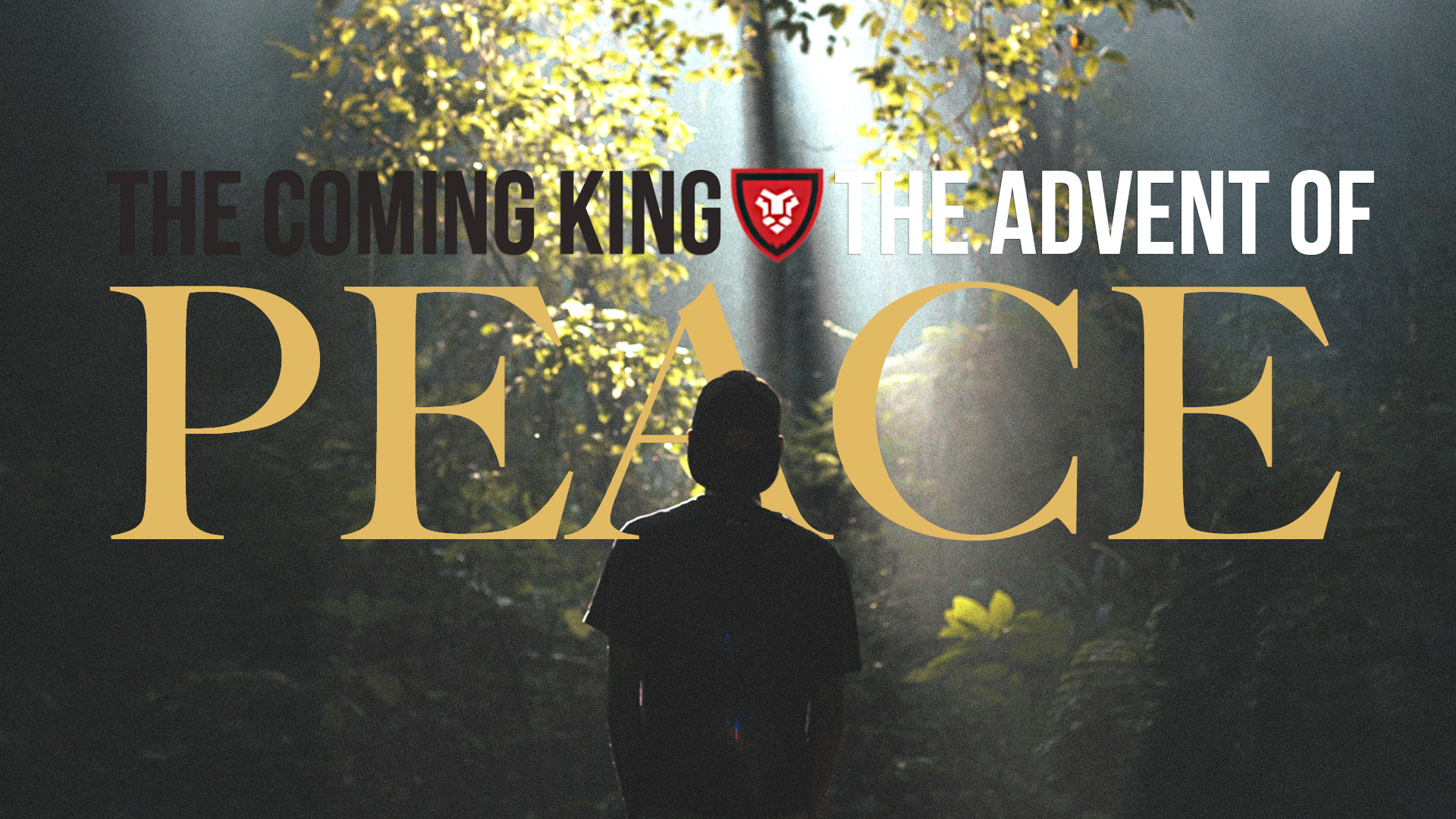 The Advent of Peace | The Coming King with Dusty Davis