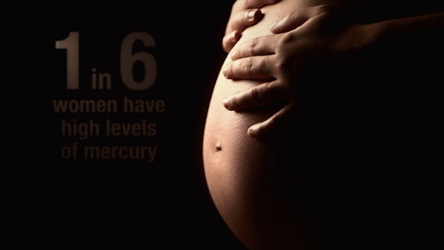 Mercury & Infertility