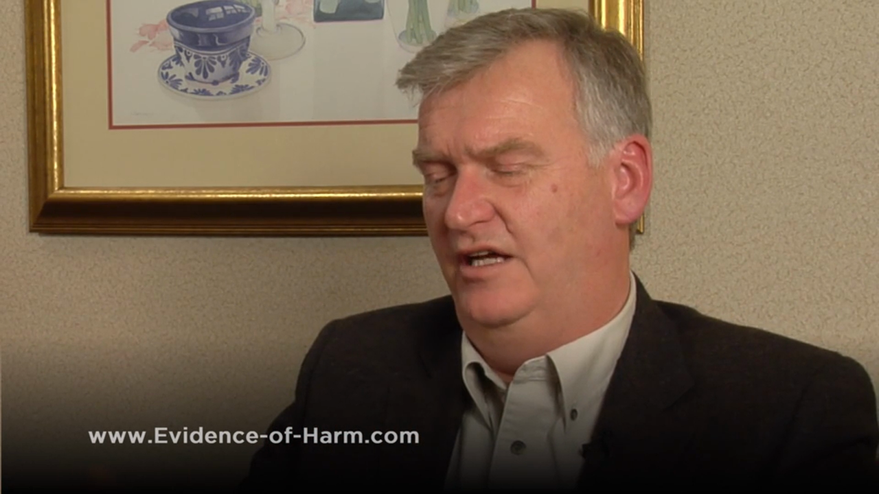 Cumulative Risk Assessment & Joint Toxicity: Mercury Vapor, Methyl Mercury & Lead