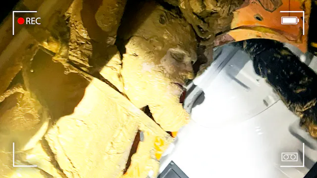 Missing Man Found Alive After 8 Days ...