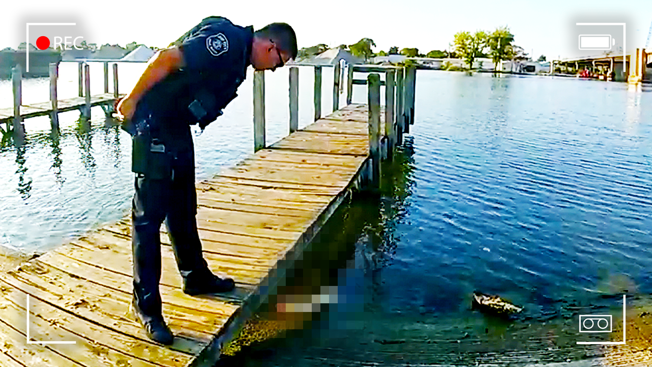 Teen Stumbles Onto Dismembered Human Remains