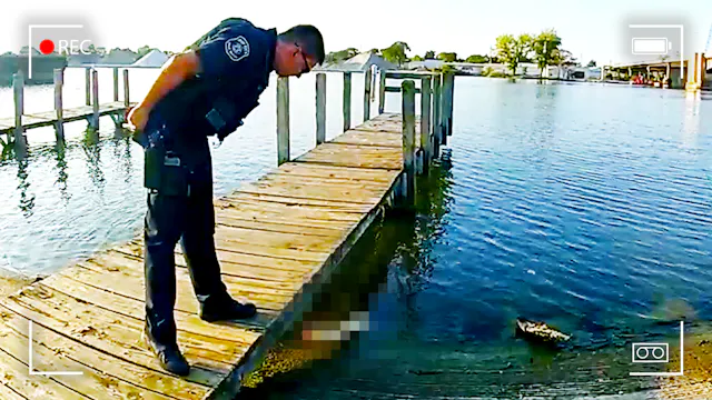 Teen Stumbles Onto Dismembered Human ...