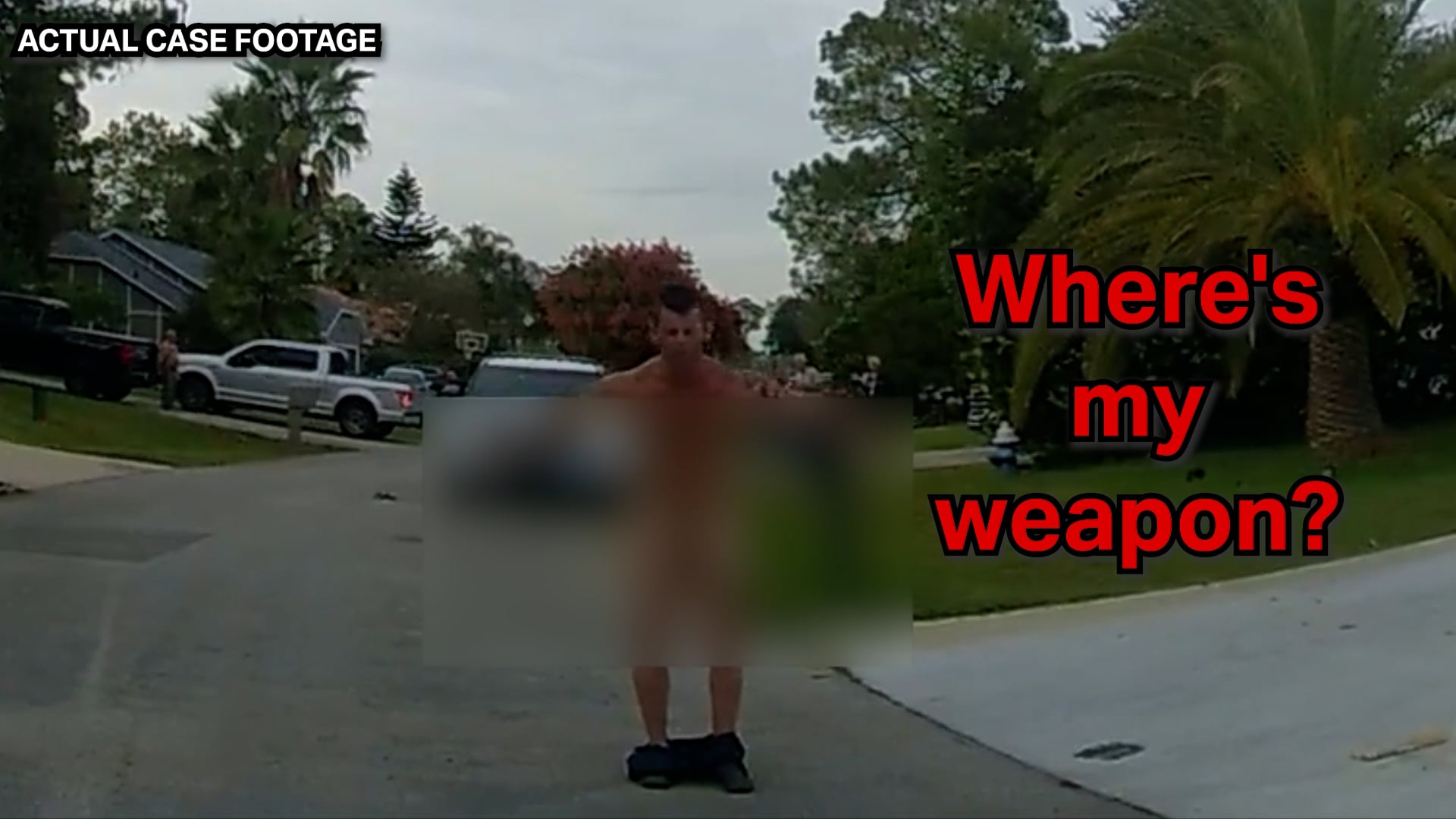 Man Challenges Cops to Fight, Instantly Regrets It