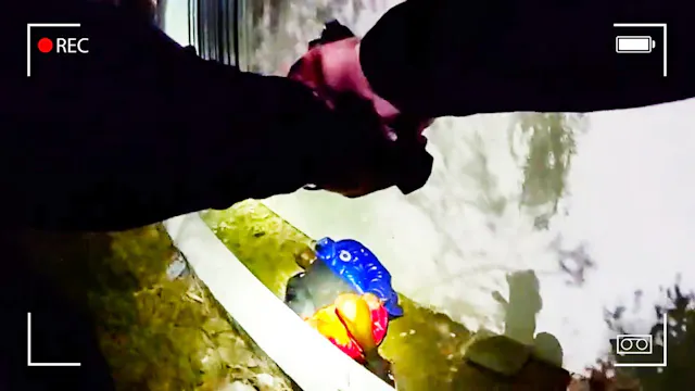 What Officers Didn't See Until It Was...