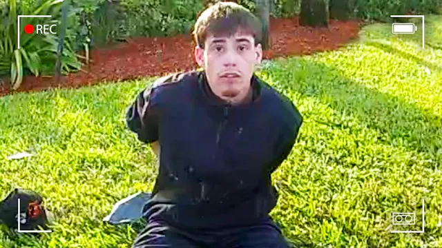 Bug Infestation Ends Violently