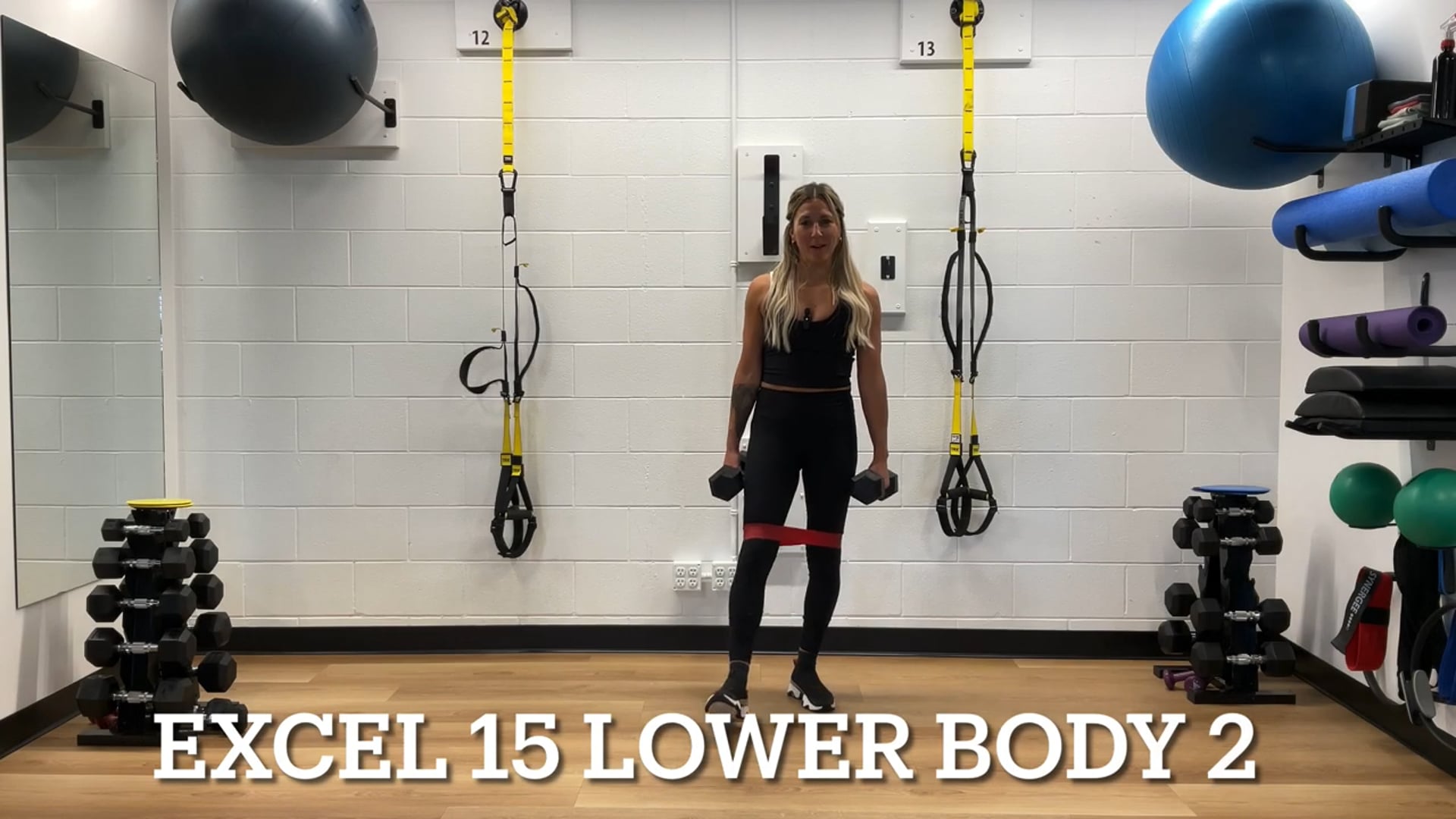 Excel 15 Lower Body 2