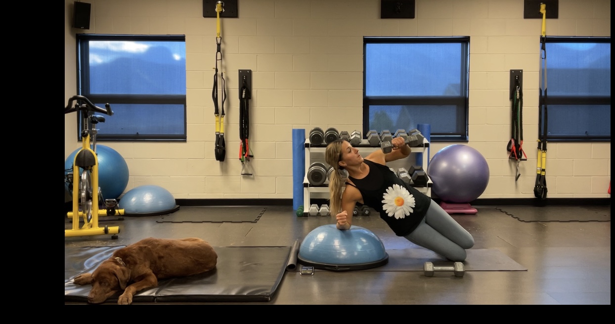 Bosu and Dumbbell Workout- Lower Body, Core and Shoulders