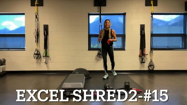 Excel Shred2 #15