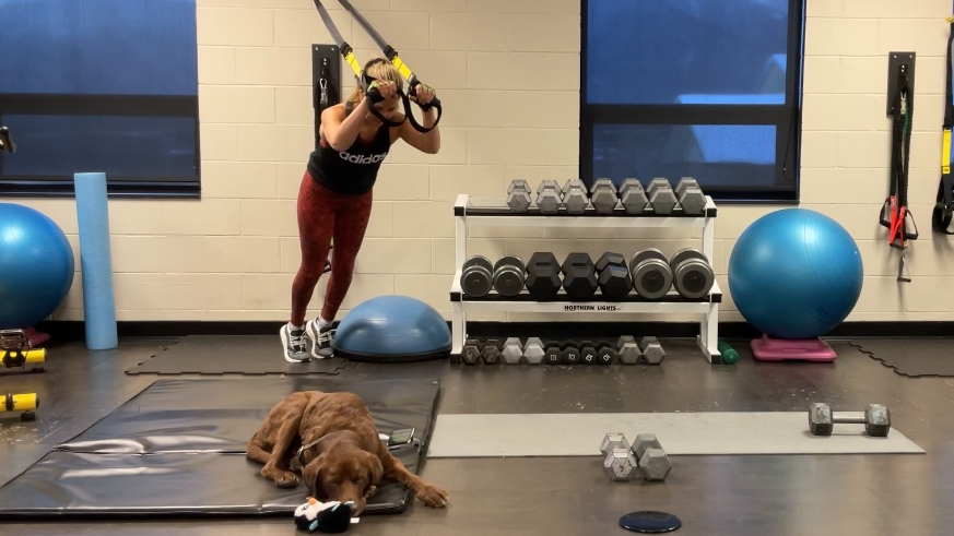 BootCamp #28 ``3 rounds - 5 exercises BootCamp Triceps and Biceps``