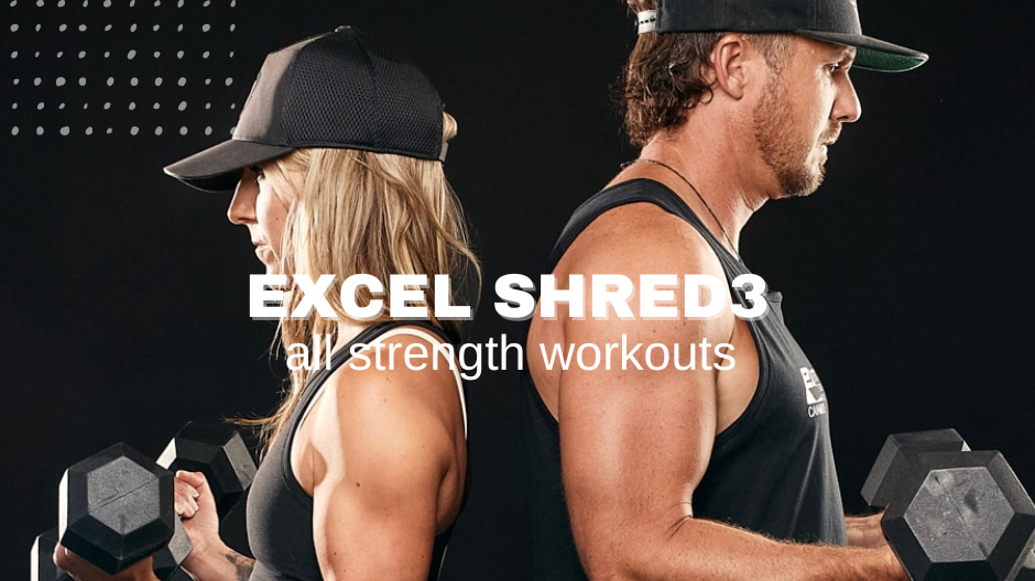 Excel Shred3 Series