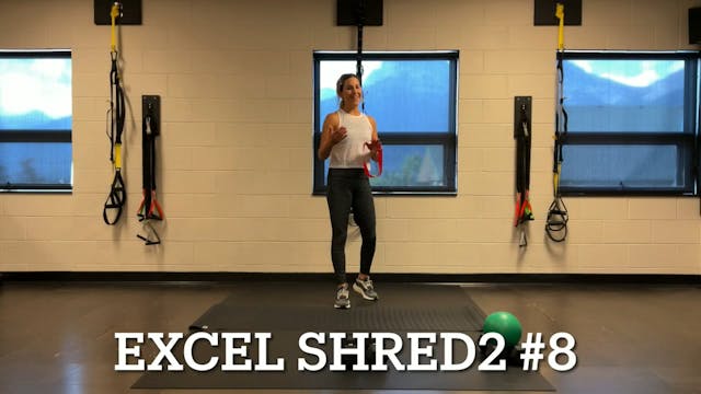 Excel Shred2  #8